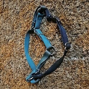 Dog Harness
